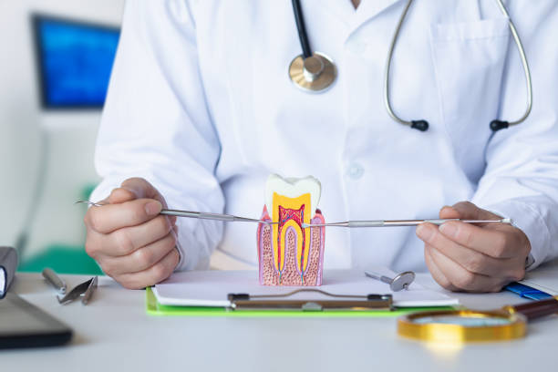 Best Emergency Dentist for Knocked-Out Tooth in Garrett, WA
